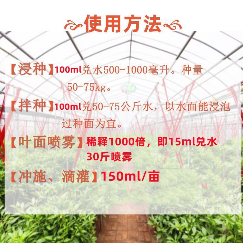 奥丰芸苔素内酯14羟基芸苔素甾醇促生根生长调节剂