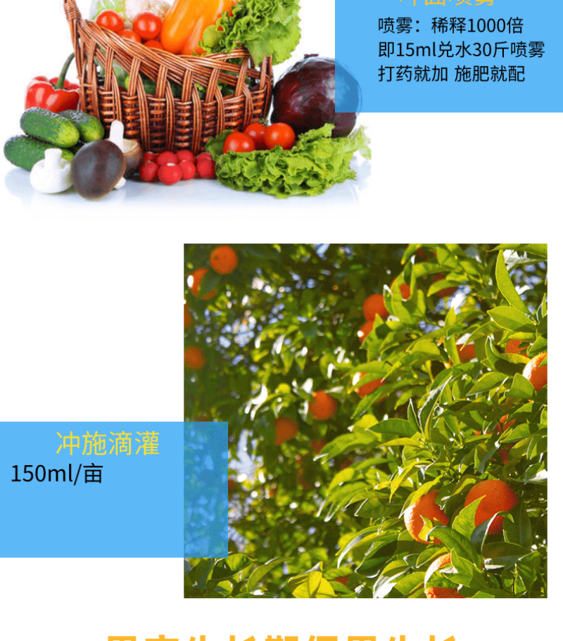 奥丰芸苔素内酯14羟基芸苔素甾醇促生根生长调节剂