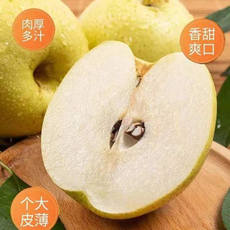 河北雪花梨专业代办代收代存产地直发一手货源规格齐全