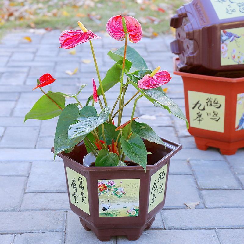加厚树脂花盆仿陶瓷大号塑料花盆大全特价清仓花盆批发特大号