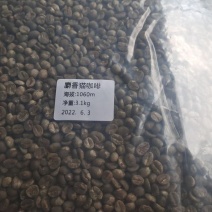 麝香猫咖啡
