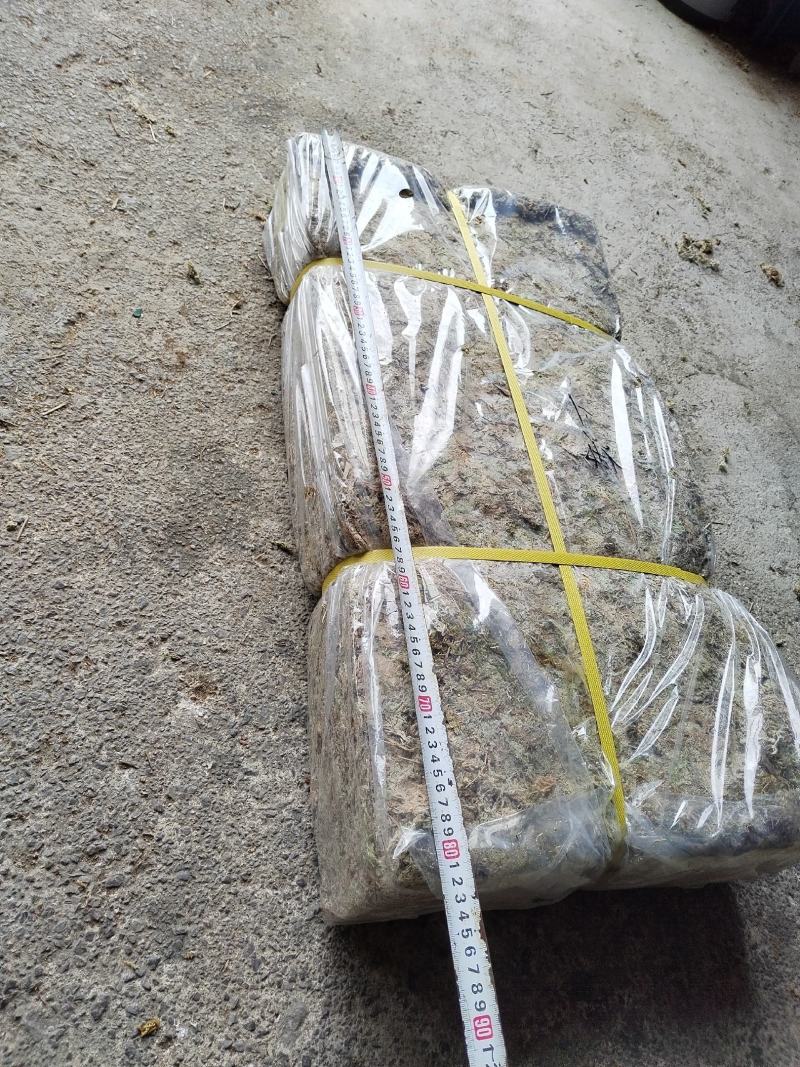 都匀惠水水苔无菌干水苔兰花无土栽培介质营养土蝴蝶兰花专用