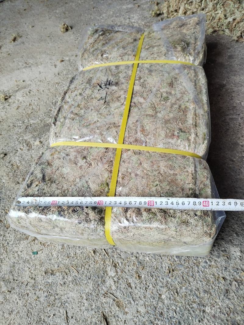 都匀惠水水苔无菌干水苔兰花无土栽培介质营养土蝴蝶兰花专用
