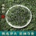 小叶苦丁茶青色苦丁茶花茶种类一公斤起批无硫