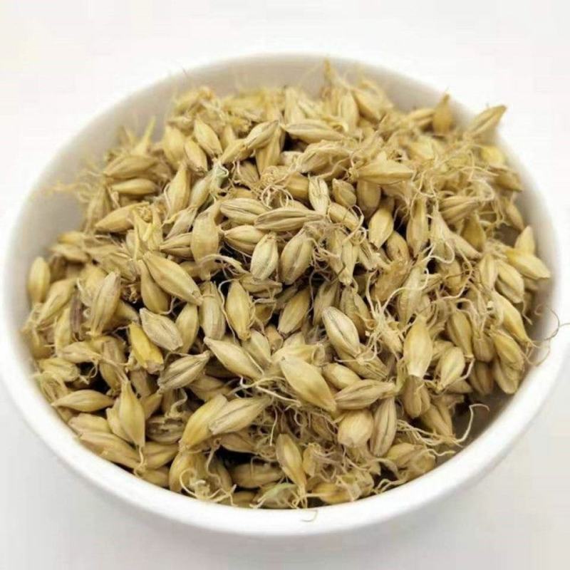 生麦芽炒麦芽中药材花茶一公斤起批无硫无添加麦芽