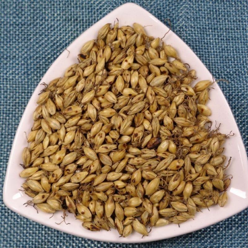 生麦芽炒麦芽中药材花茶一公斤起批无硫无添加麦芽