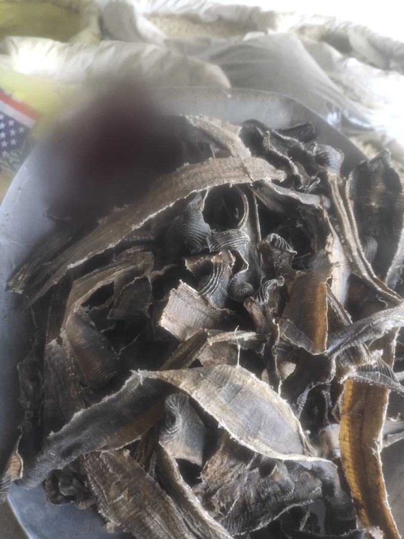 大地龙土地龙地龙全开广地龙全干水洗无杂质