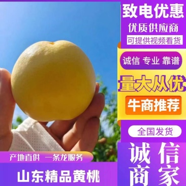 精品桃。“”水蜜桃，”黄桃现摘现卖口感好甜度高