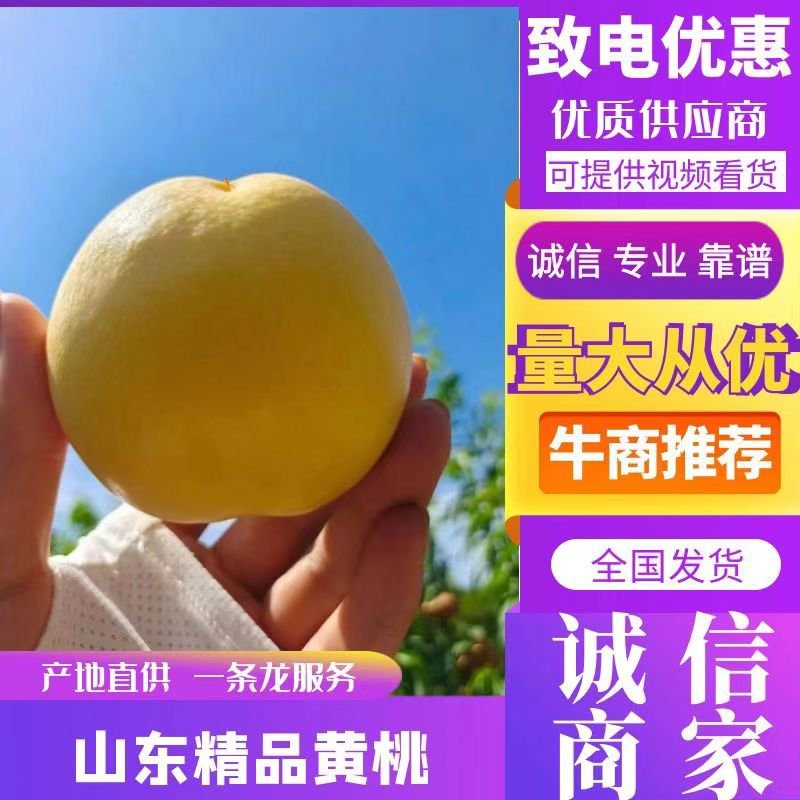 精品桃。“”水蜜桃，”黄桃现摘现卖口感好甜度高