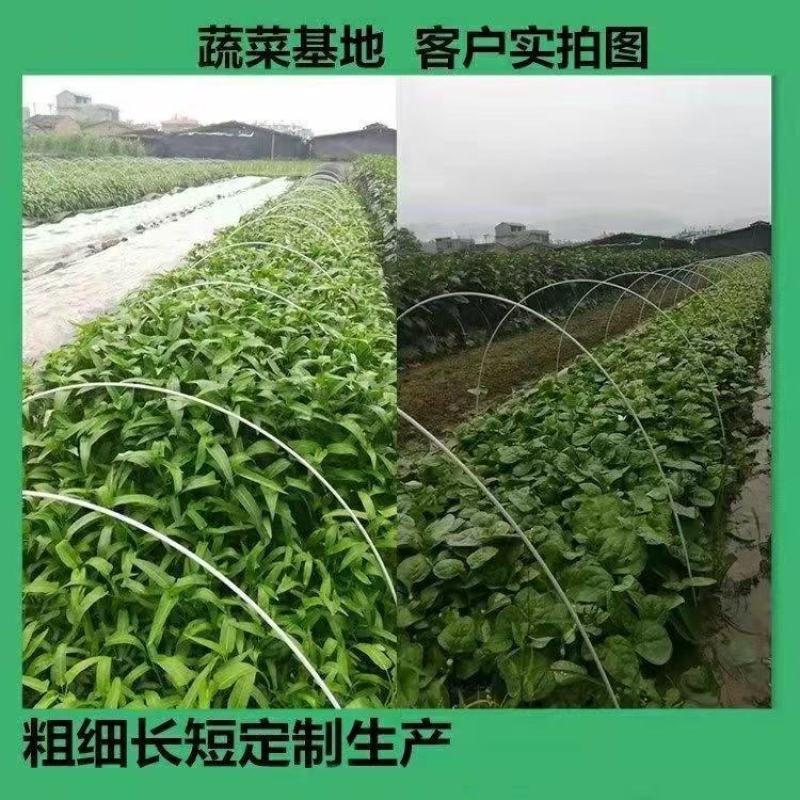 玻璃纤维杆菜棚骨架西瓜弹力棒葡萄避雨棚保温棚支撑杆弓子