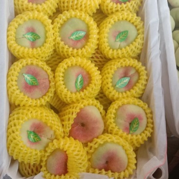 精品毛蟠，油蟠桃大量供应，质量好，囗感脆甜，欢迎订购