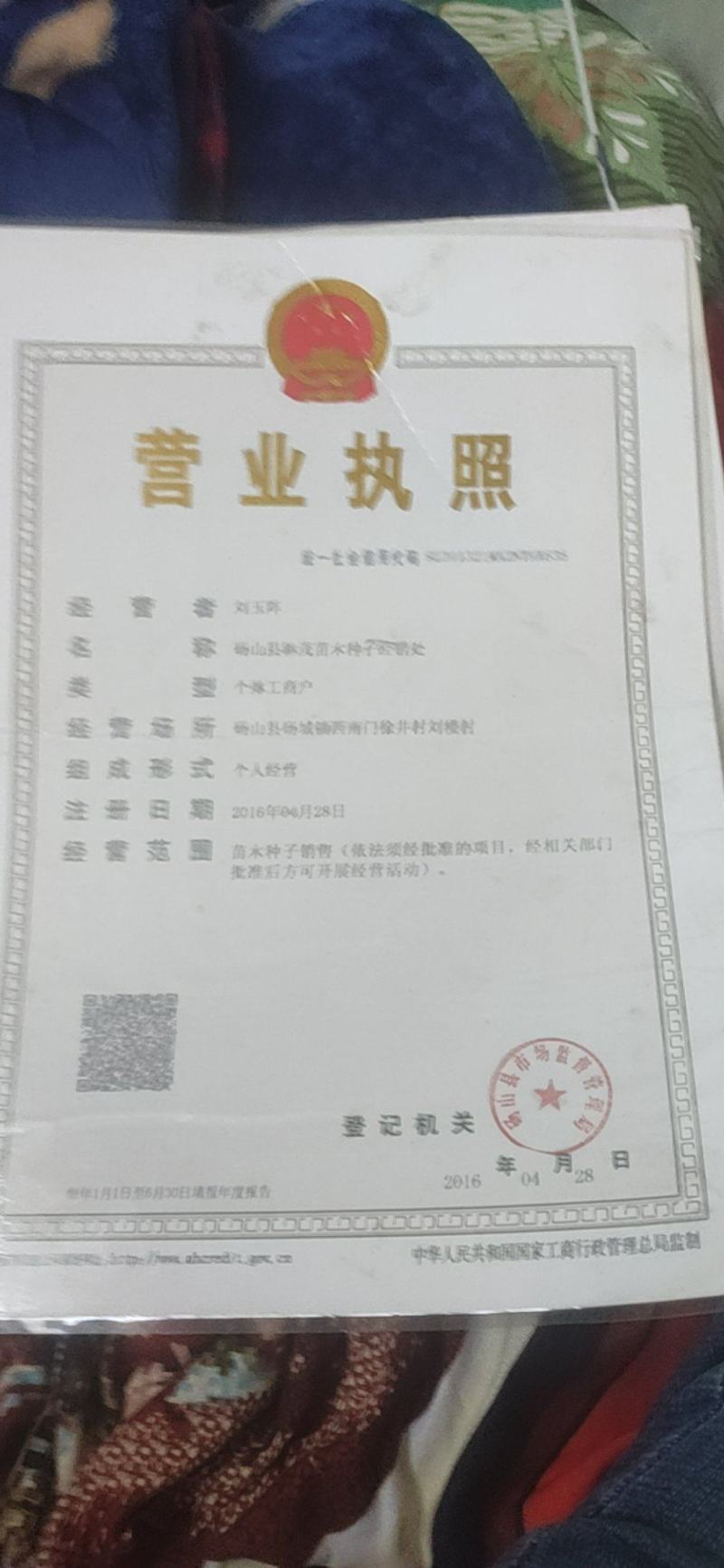 蛇莓种子