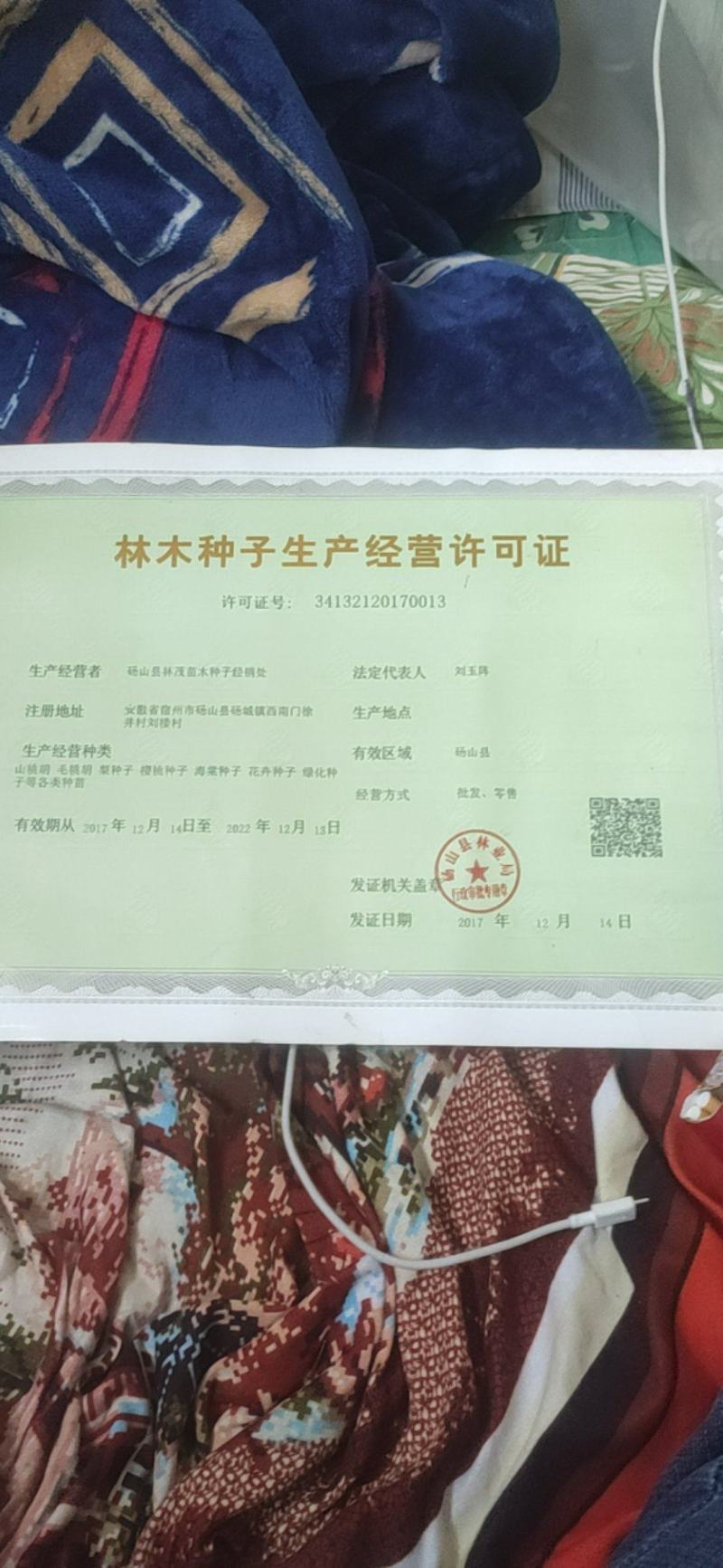 蛇莓种子