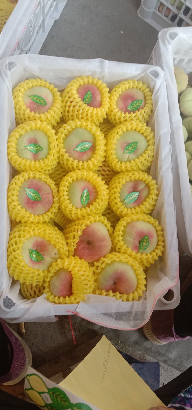 精品毛蟠，油蟠桃大量供应，质量好，囗感脆甜，欢迎订购