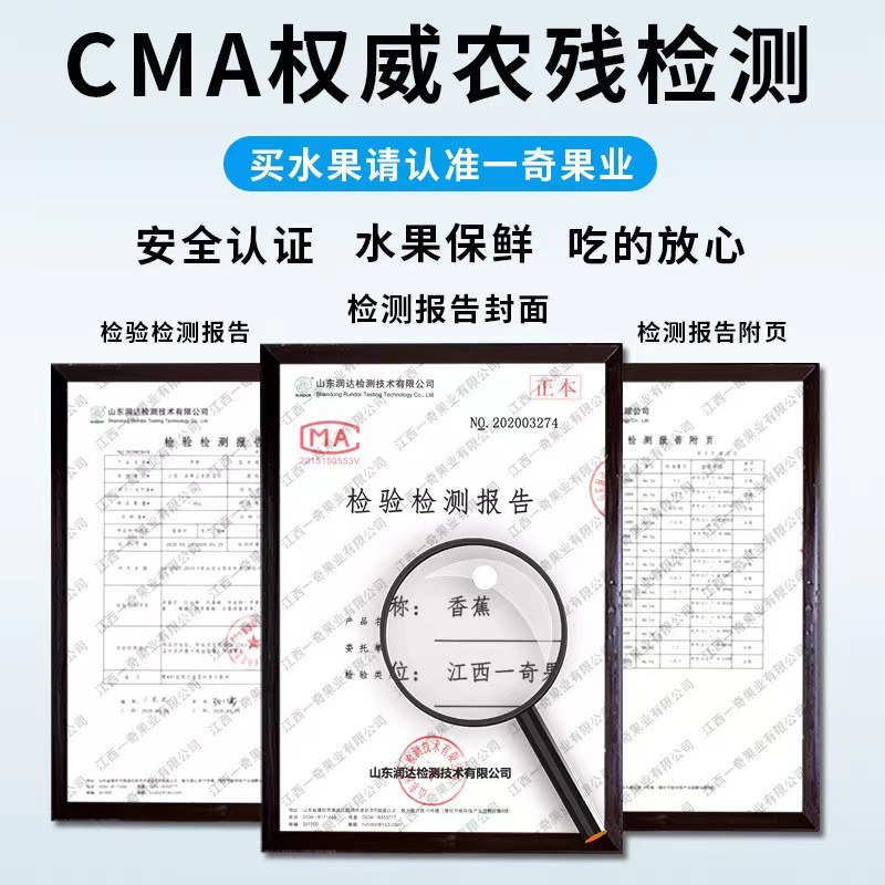 3/5/9斤广西小米蕉代发新鲜水果小香蕉