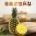 海南金钻凤梨代发2/8斤当季新鲜无眼热带凤梨非手撕菠萝