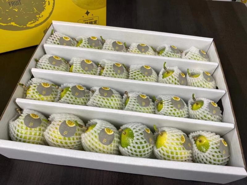 【一件代发】钦蜜9号黄金百香果（招代理）