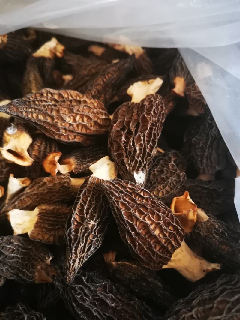 头茬一级品干货羊肚菌