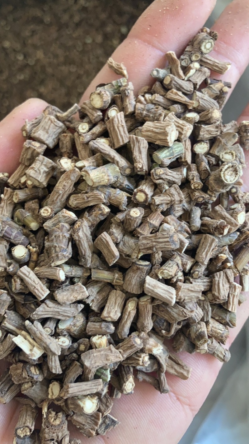 柴胡，规格多，常年供应，一手货源批发打粉