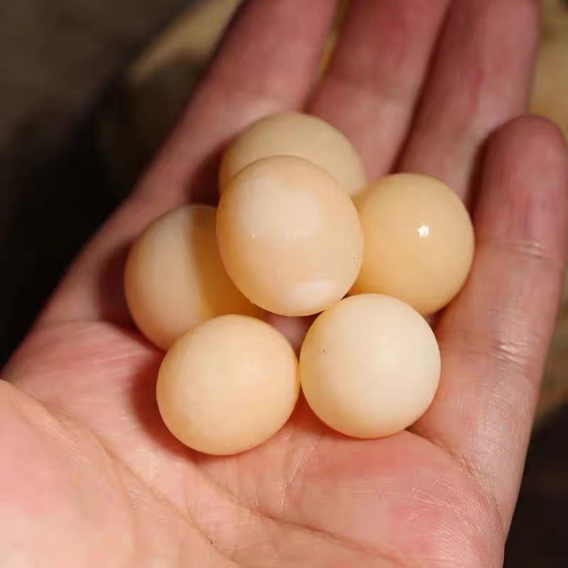 30枚60枚120枚中华草龟蛋宝宝辅食新鲜食用生态乌龟蛋