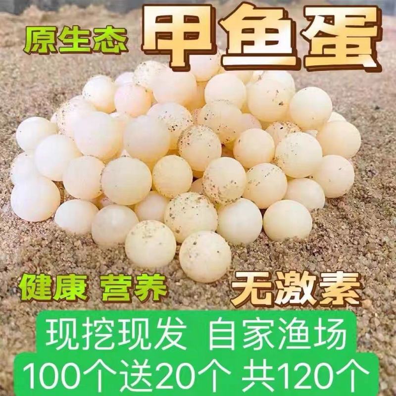 30枚60枚120枚中华草龟蛋宝宝辅食新鲜食用生态乌龟蛋