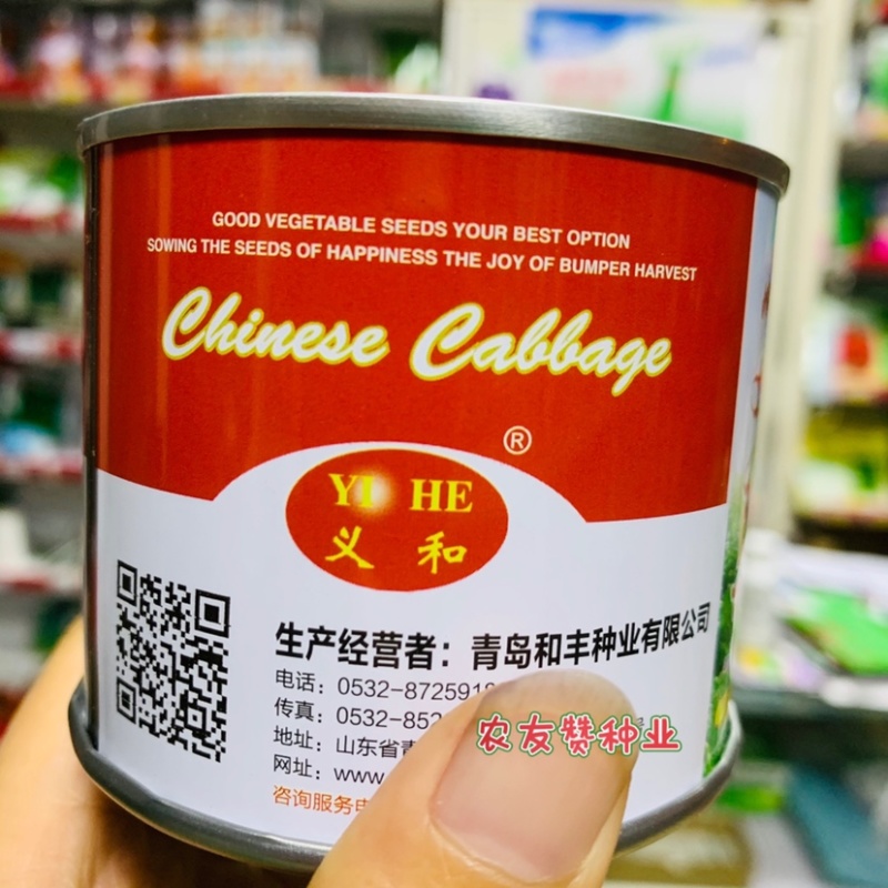 正品好吃好卖小义和秋大白菜种子叠抱结球白菜种子秋播抗病