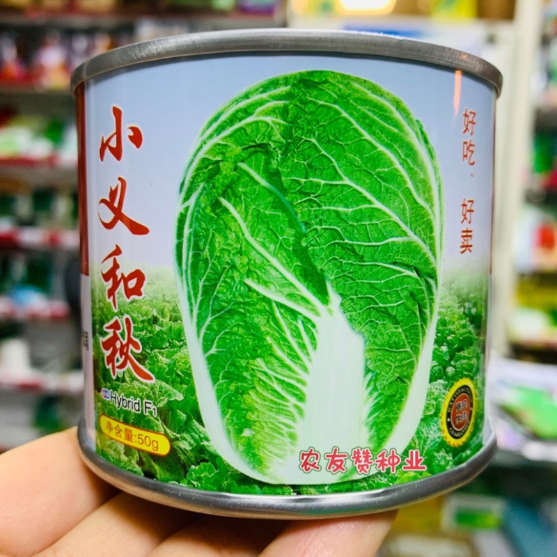正品好吃好卖小义和秋大白菜种子叠抱结球白菜种子秋播抗病
