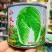 正品好吃好卖小义和秋大白菜种子叠抱结球白菜种子秋播抗病