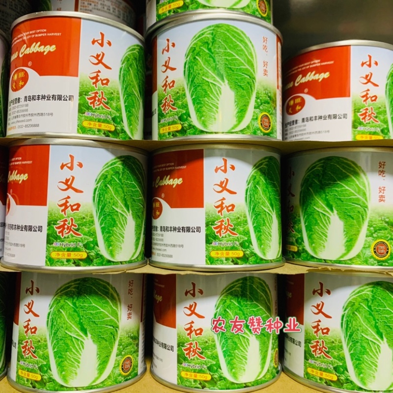 正品好吃好卖小义和秋大白菜种子叠抱结球白菜种子秋播抗病