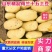 【实力】荷兰黄心十五土豆，产地批发大量供应商超货