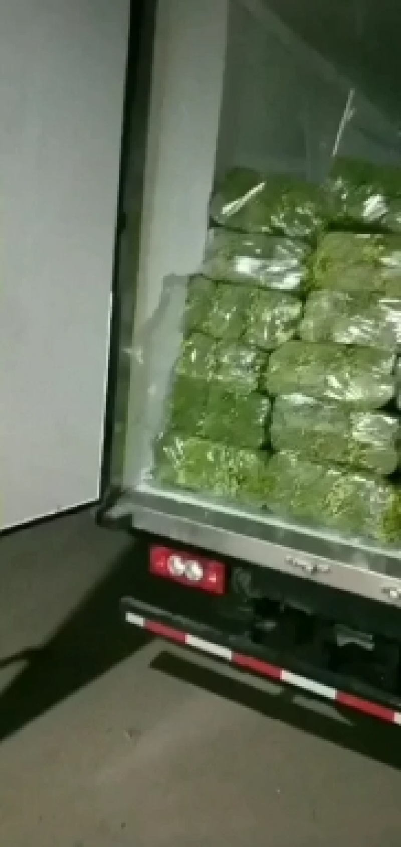 精选韭苔，量大从优！各种规格，质量**，代发全国