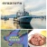 渤海湾特产手工原味虾酱50/2斤，65/3斤包邮