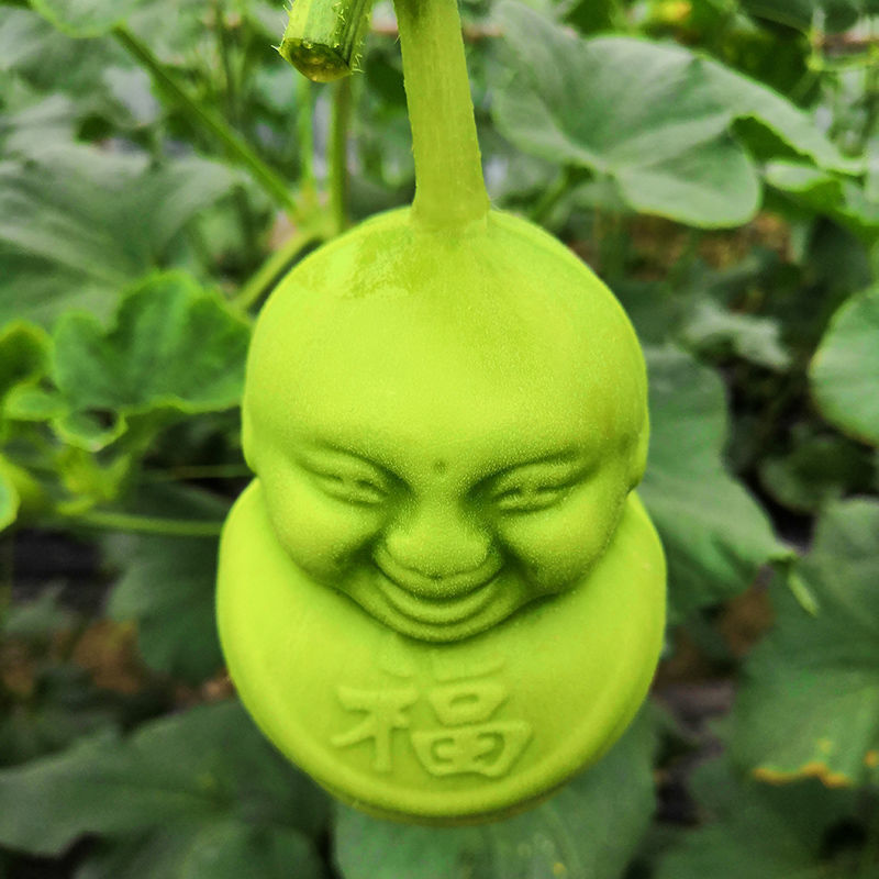 现摘人形人参果水果香瓜甜瓜福娃贡果节日礼物新鲜水果多规格