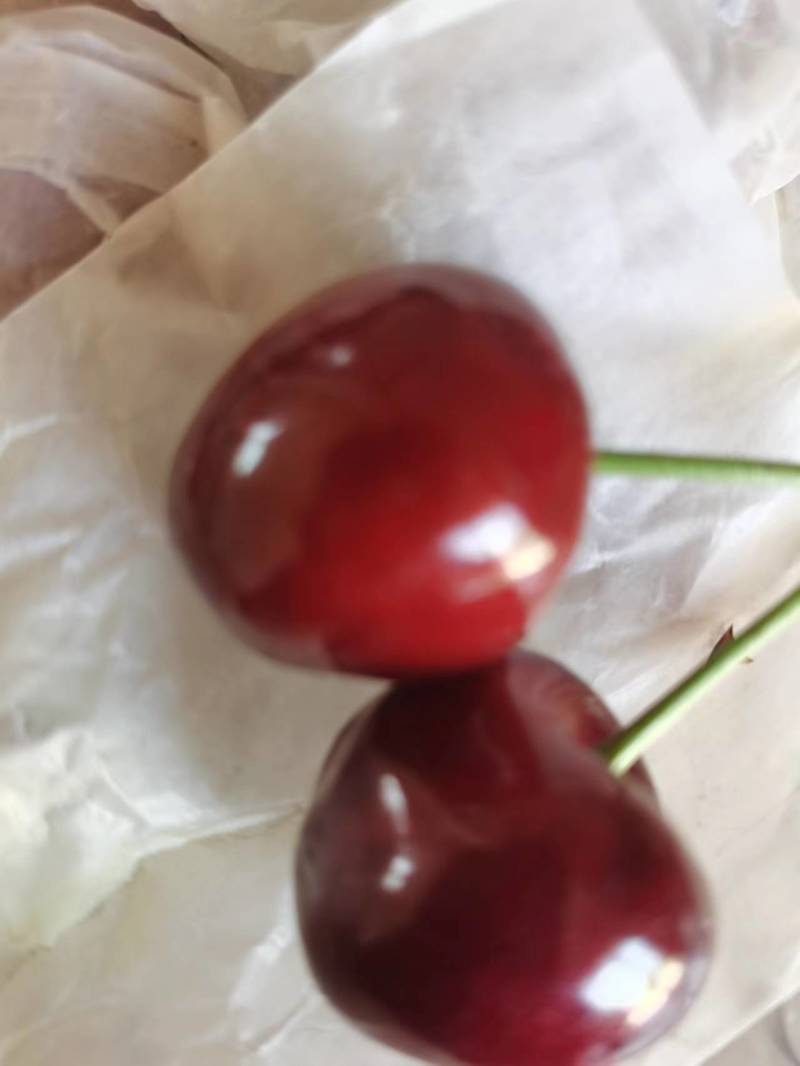 精品甘肃套袋大樱桃，色香味美大量上市全国包邮