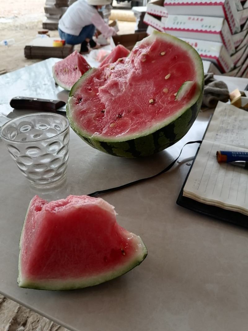 河南小弓棚西瓜上市。。皮毛好。熟度好。精品货