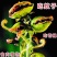 食人花植物捕蝇草超大大嘴猪笼草食虫草驱蚊草捕蚊室内绿植捕