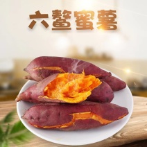 现货5斤装福建六鳌红薯新鲜现挖香甜沙地蜜番薯红苕地瓜