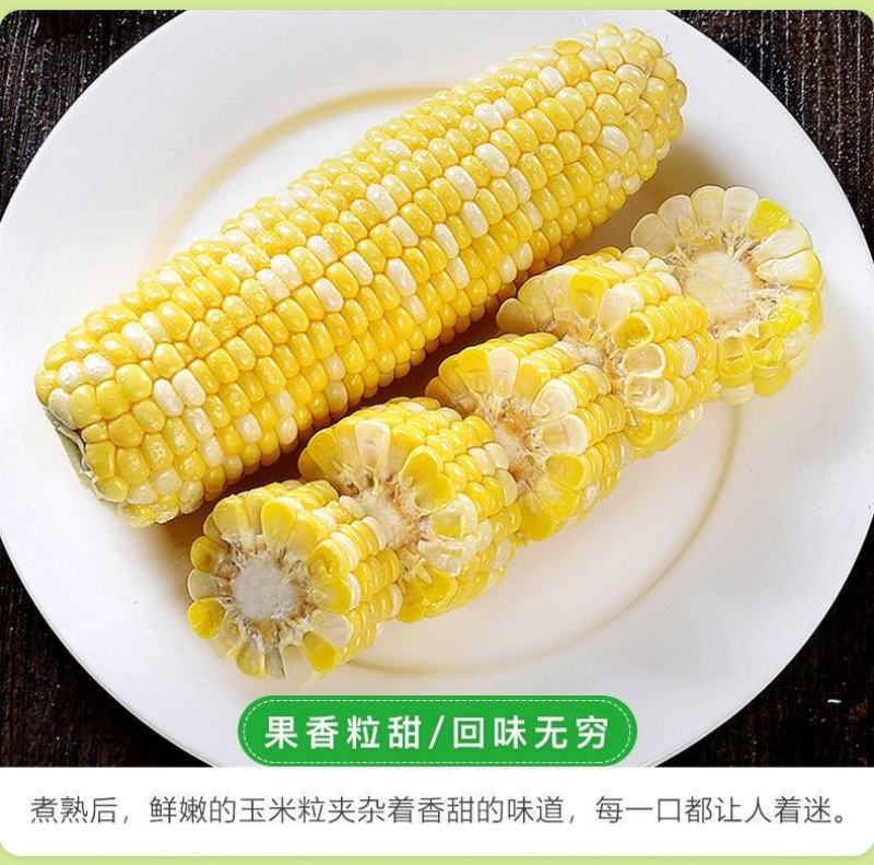 精品玉米，甜玉米产地直供看货论价保质保量欢迎订购