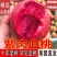 蜜桃水蜜桃，毛桃，油桃产地直销看货论价欢迎订购