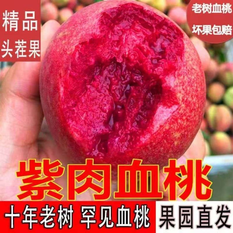 蜜桃水蜜桃，毛桃，油桃产地直销看货论价欢迎订购