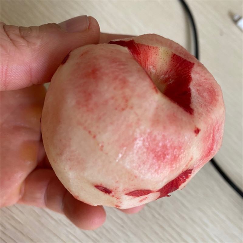 蜜桃水蜜桃，毛桃，油桃产地直销看货论价欢迎订购