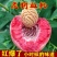 蜜桃水蜜桃，毛桃，油桃产地直销看货论价欢迎订购