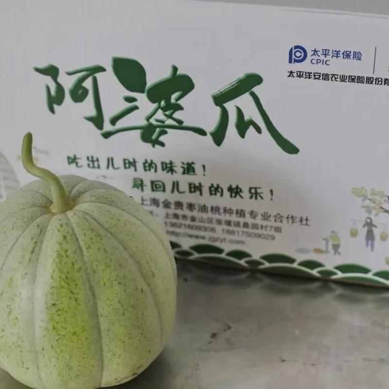 上海金山阿婆瓜菜瓜消失40年的美味