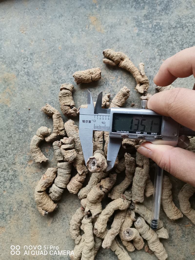 标头干货