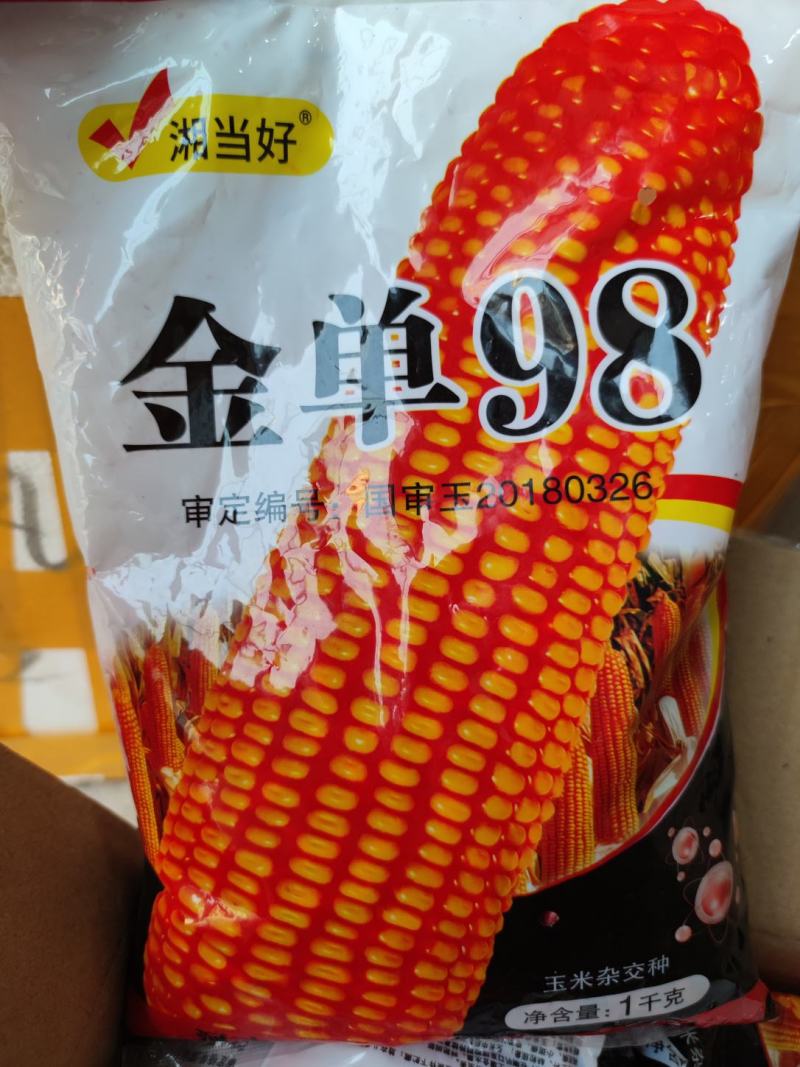 金单98玉米种子，红轴抗病高产
