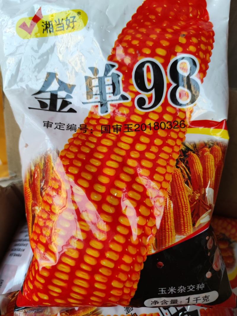 金单98玉米种子，红轴抗病高产