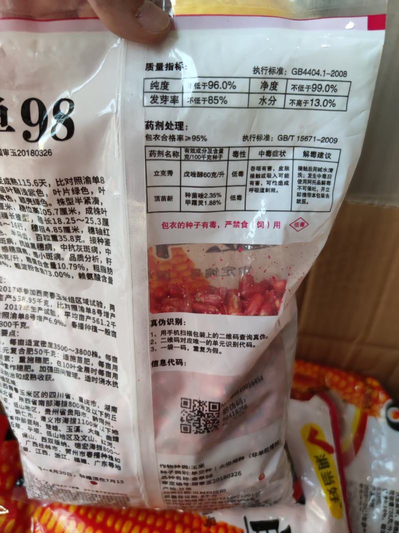 金单98玉米种子，红轴抗病高产