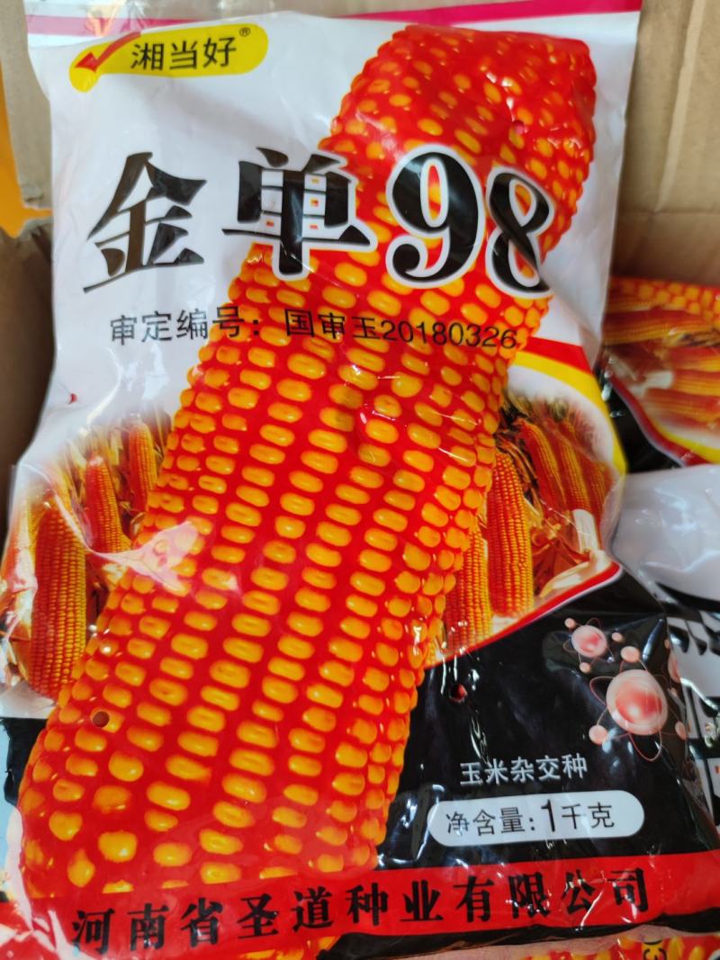 金单98玉米种子，红轴抗病高产