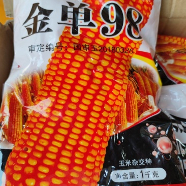 金单98玉米种子，红轴抗病高产