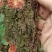包邮野生山杨梅树皮，需要鲜货，现采现发，干货可以提前预定